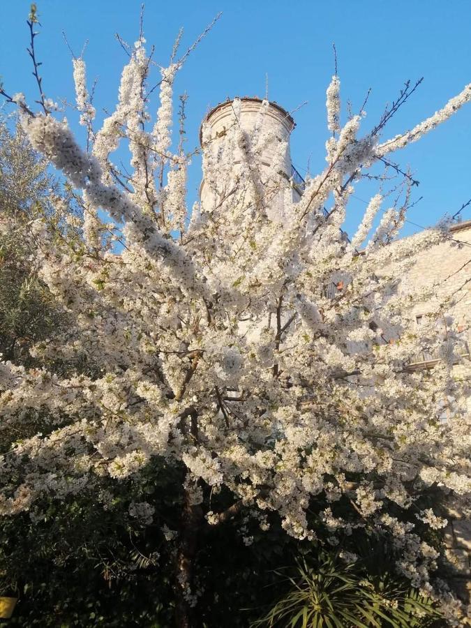 B&B Vicidomini San Marco dei Cavoti エクステリア 写真